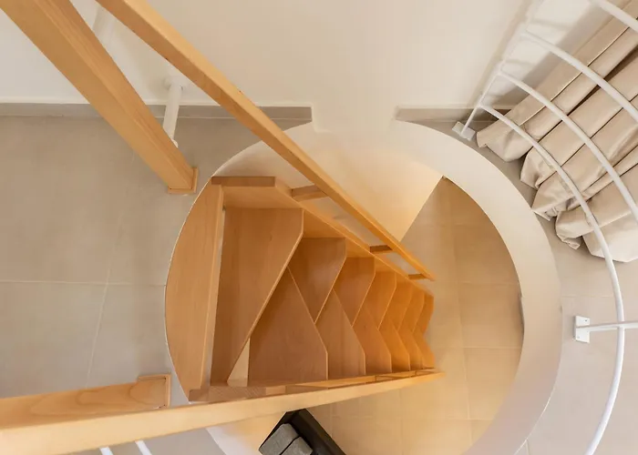 Dream Day فيلة بساثوبيرغوس