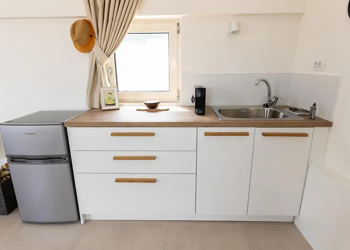 فيلة Dream Day *