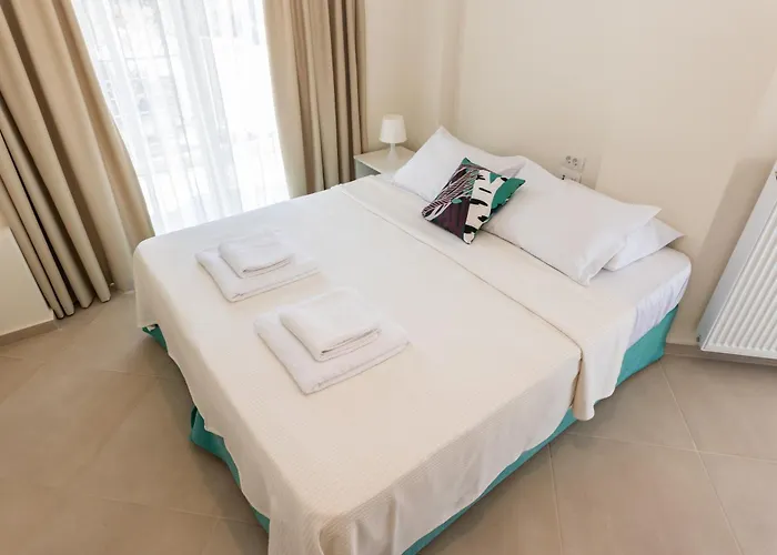 Dream Day فيلة بساثوبيرغوس