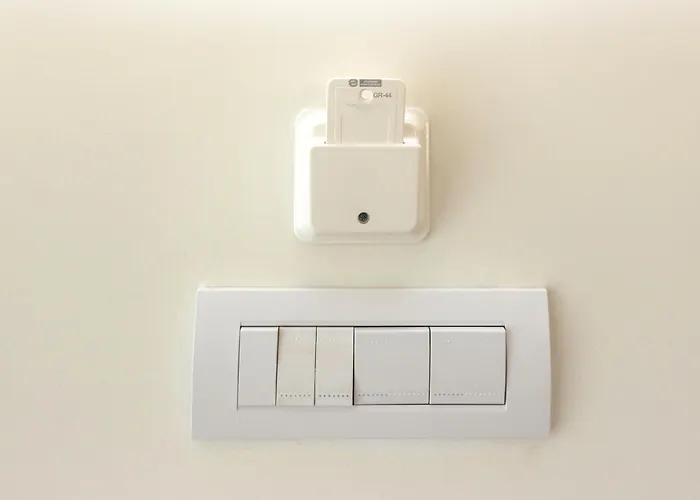 Dream Day פסאתופירגוס